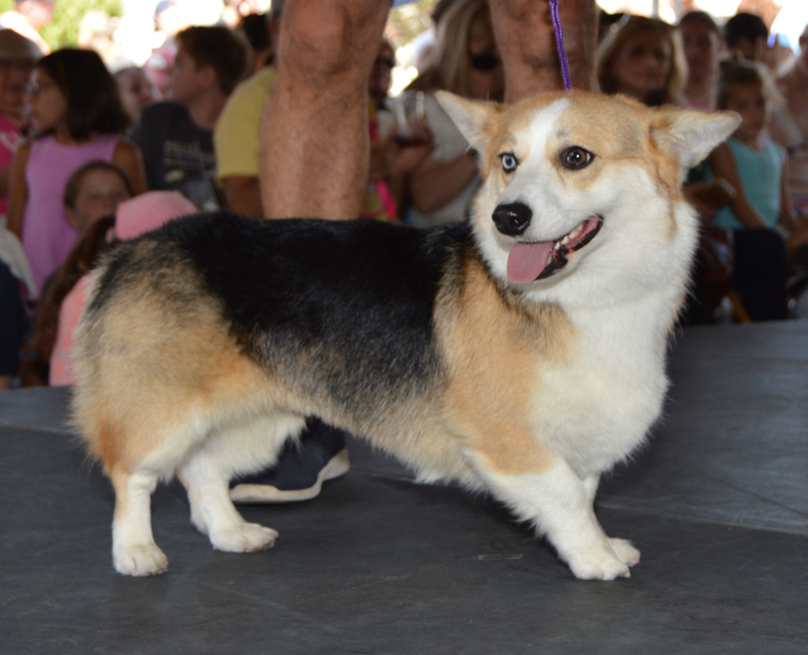 DSC_0081.JPG